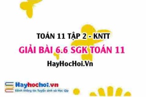 Bài 6.6 SGK Toán 11 Tập 2 Kết nối tri thức